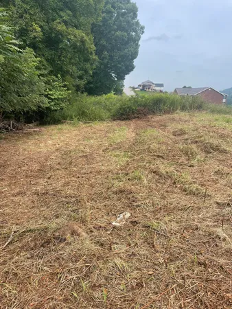$32,500 | Lot 43 Chimney Top Lane, Unit 43, Chuckey, TN 37641