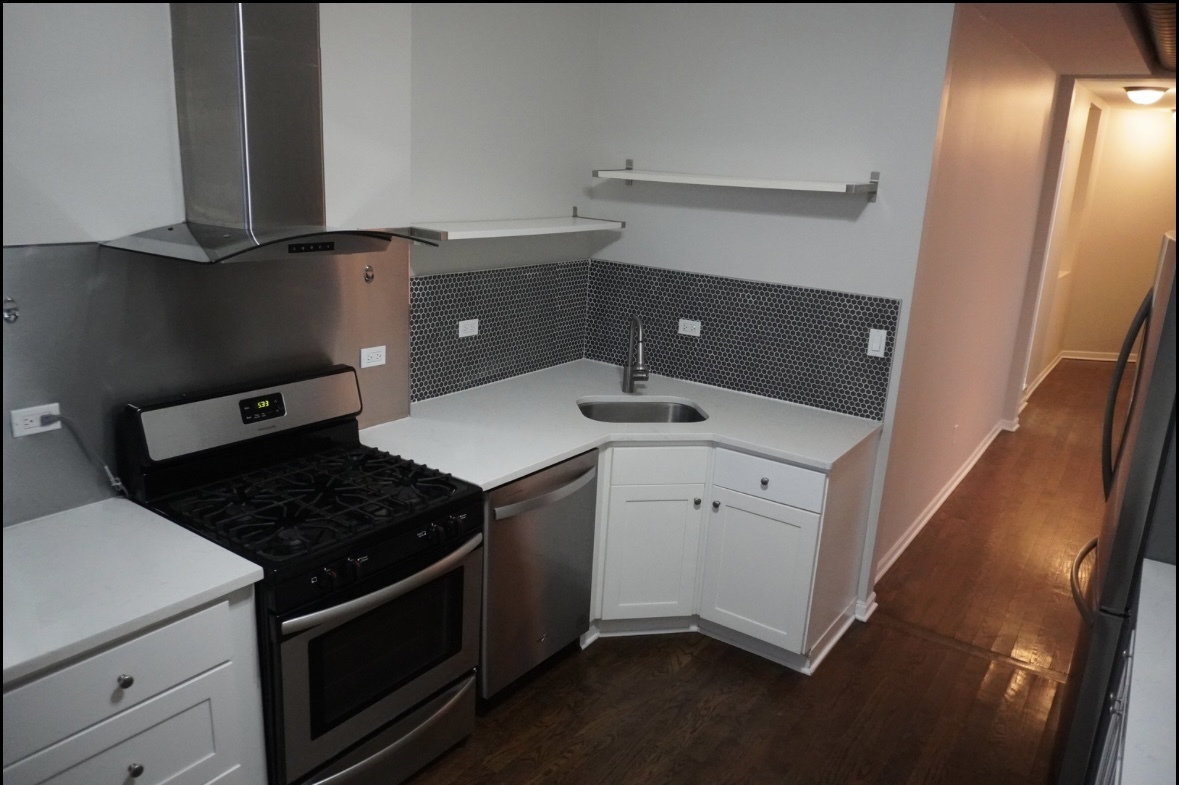867 East Pershing Road, Unit 2 Chicago, IL 60653 - Photo 5 of 8