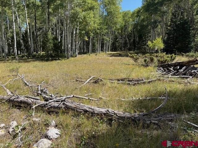 121 Ridge Road Cimarron, CO 81220 - Photo 2 of 13