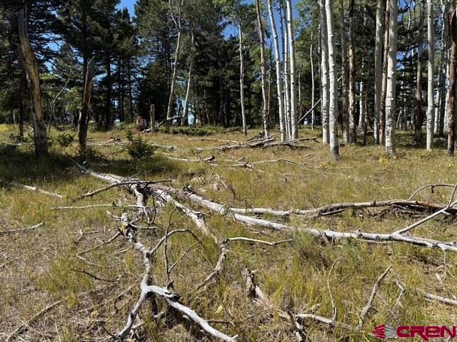 121 Ridge Road Cimarron, CO 81220 - Photo 3 of 13