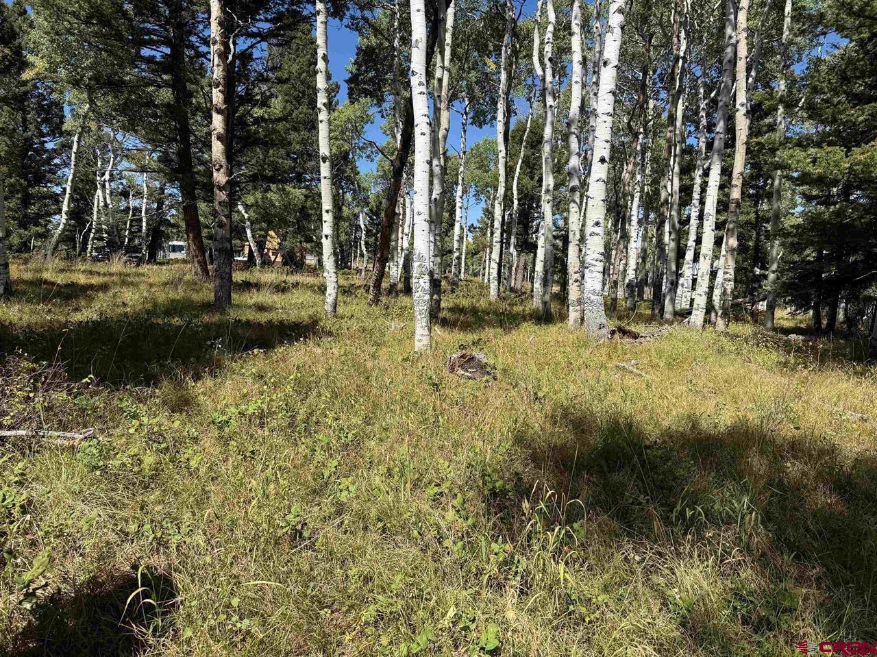 121 Ridge Road Cimarron, CO 81220 - Photo 4 of 13