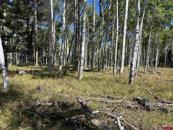 a view of outdoor space with trees
