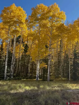 a view of a field with trees in front of it