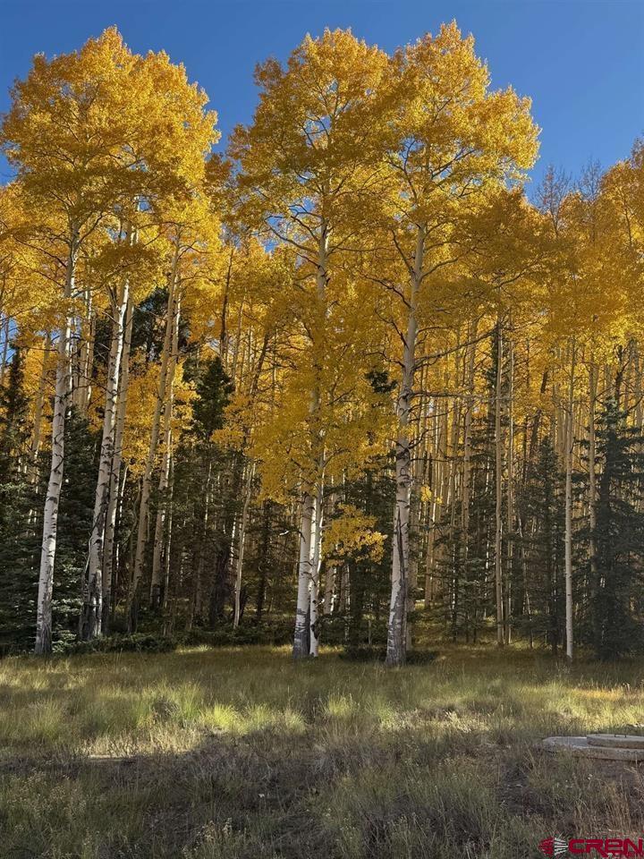 121 Ridge Road Cimarron, CO 81220 - Photo 6 of 13