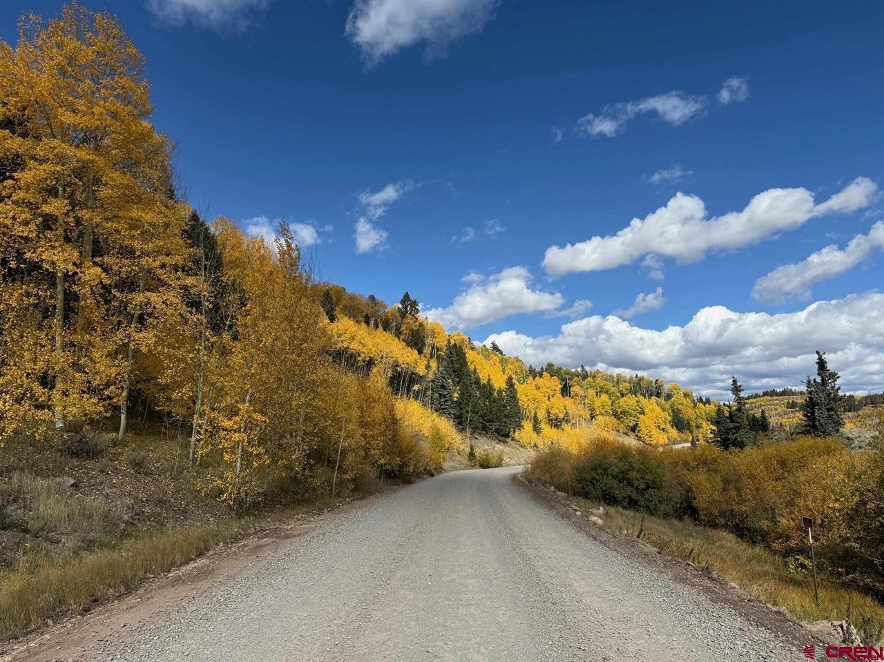 121 Ridge Road Cimarron, CO 81220 - Photo 7 of 13