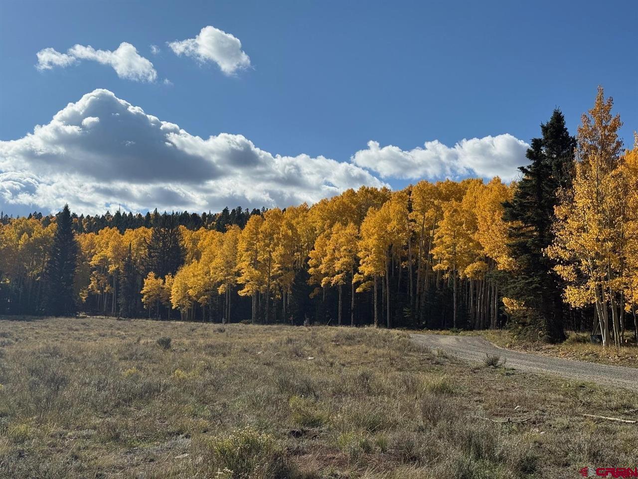121 Ridge Road Cimarron, CO 81220 - Photo 8 of 13