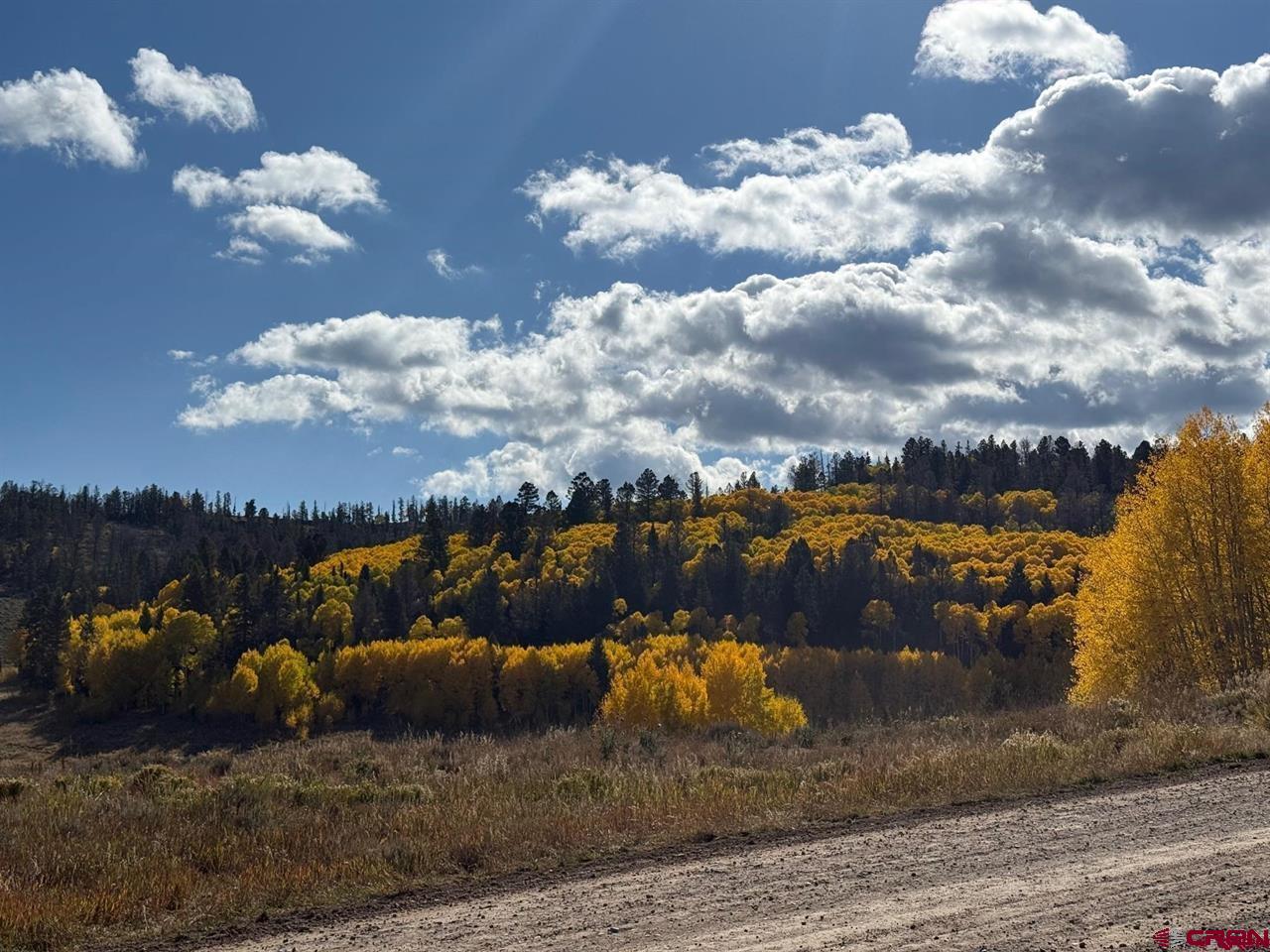 121 Ridge Road Cimarron, CO 81220 - Photo 9 of 13
