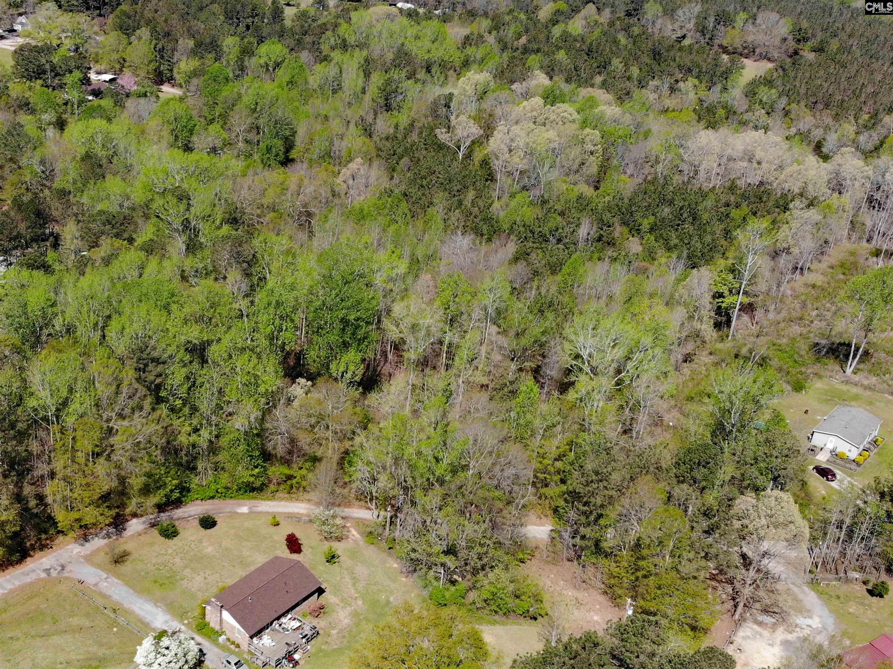 Tbd James Road Joanna, SC 29351 - Photo 79 of 82