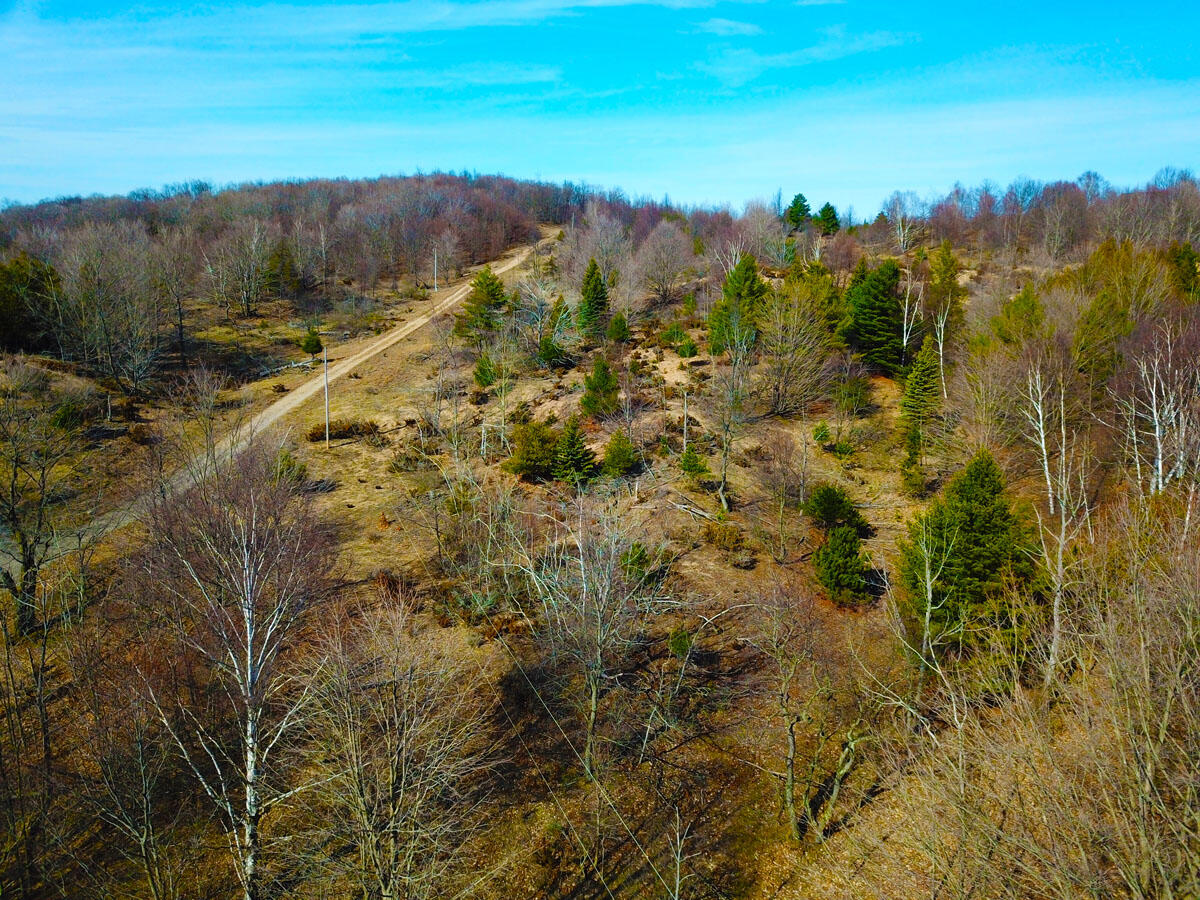 0 Maxey Road Arcadia, MI 49613 - Photo 14 of 15 DJI_Drone