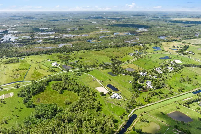 a view of a park with tree s