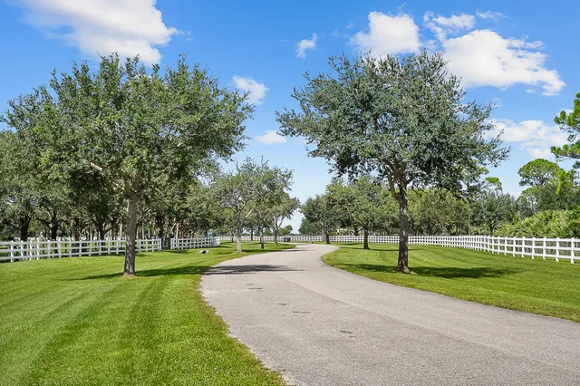 a view of road with trees