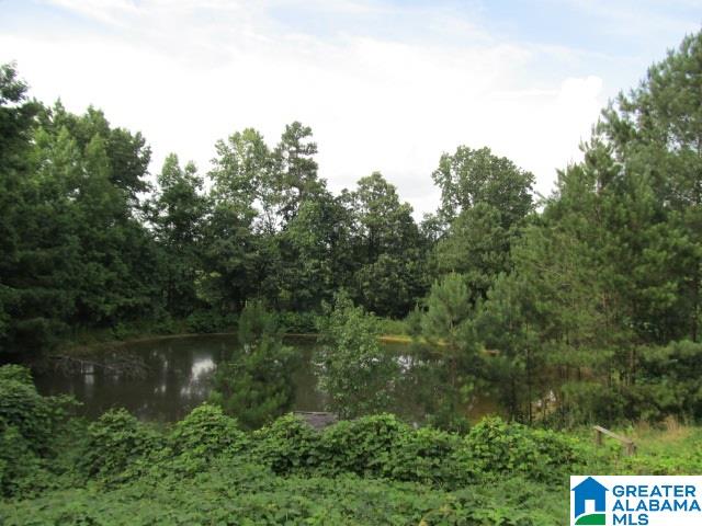 2931 Wilson Chapel Road Altoona, AL 35952 - Photo 24 of 36