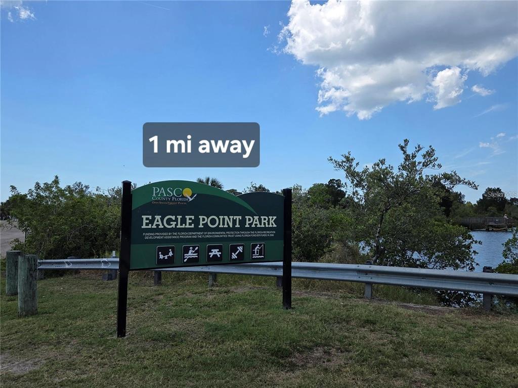 4645 Irene Loop New Port Richey, FL 34652 - Photo 32 of 55