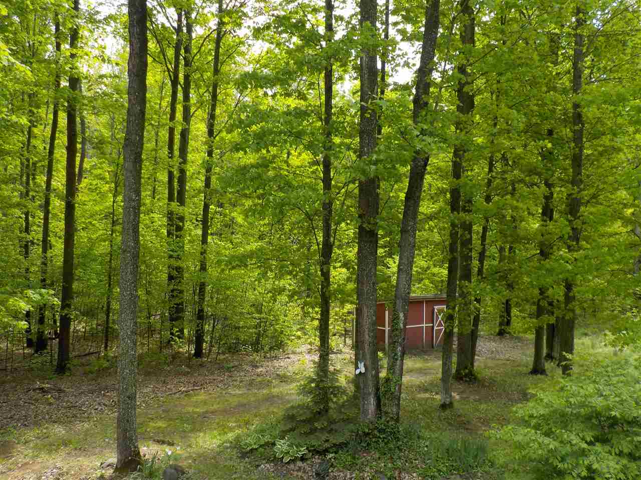 18848 Number One Road Thompsonville, MI 49683 - Photo 22 of 24 1830305-24.JPG