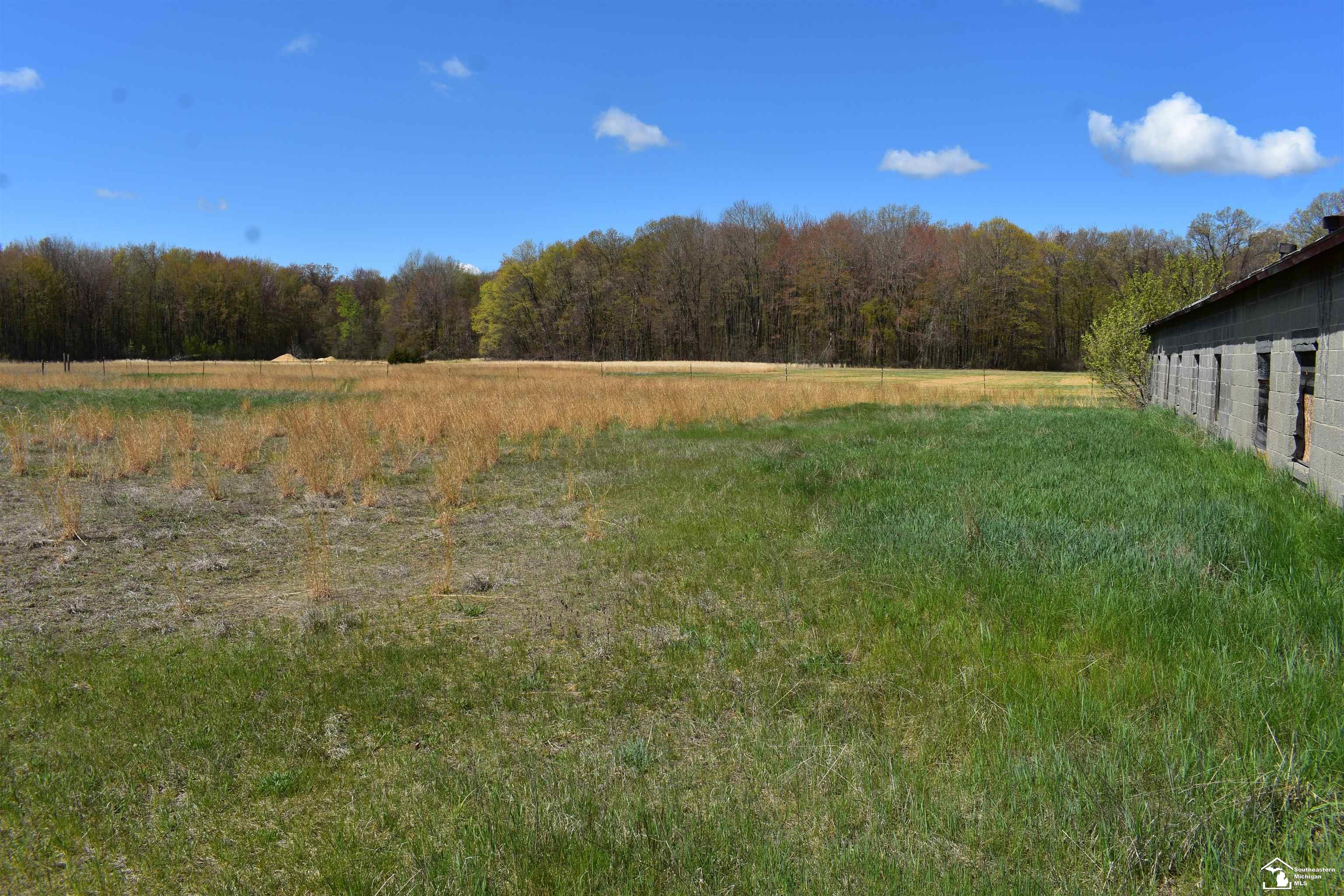 1 Tuttle Hill Road Milan, MI 48160 - Photo 4 of 18