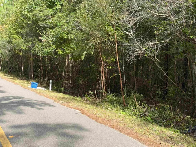a view of backyard space and trees