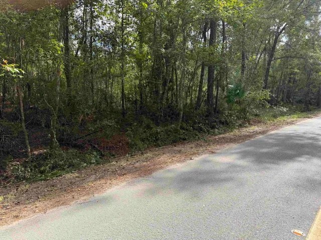a view of backyard with green space