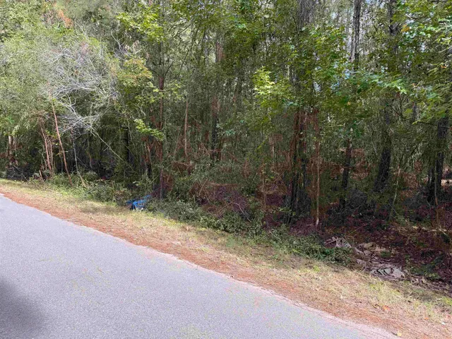 a view of a yard with a trees