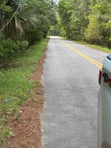 a view of a yard with a tree