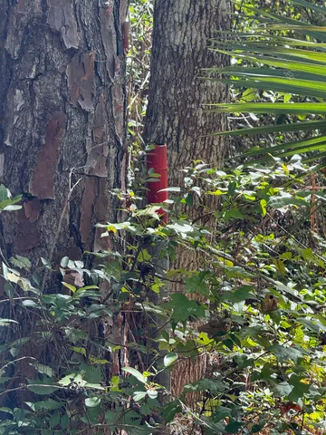 a backyard of a building