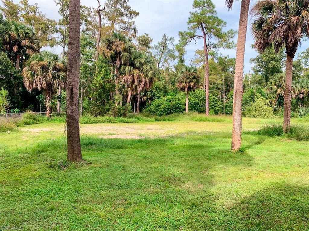 5975 Green Boulevard Naples, FL 34116 - Photo 20 of 20 a view of a yard with a tree