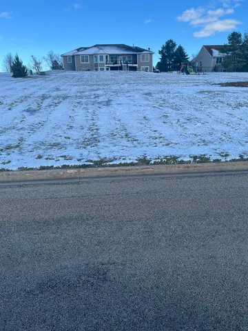 a view of a dry yard