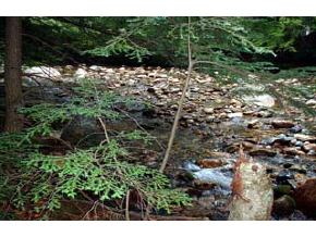 4 Bean Mountain Road Ossipee, NH 03814 - Photo 2 of 2
