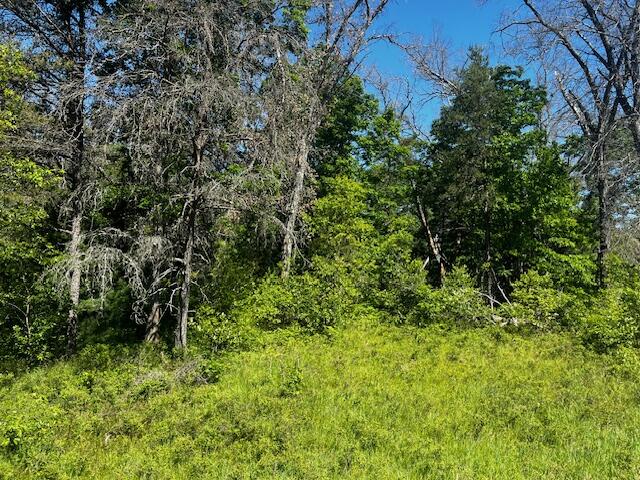 1 M-37 Baldwin, MI 49304 - Photo 10 of 15