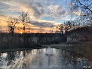 205 Paul Place Lebanon, IL 62254 - Photo 9 of 64