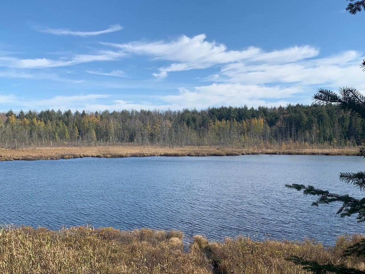 6108 North Spg Lk Road Mercer, WI 54547 - Photo 20 of 99 Gallery Image 20