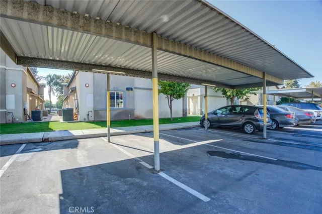 a view of a park with a large tree