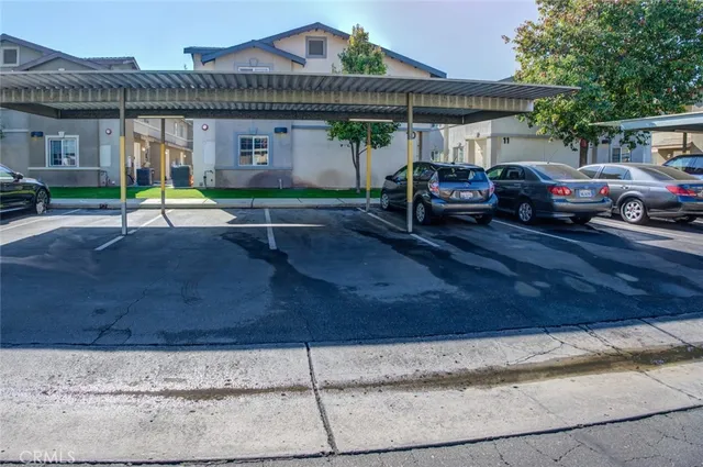 a view of a park with palm trees