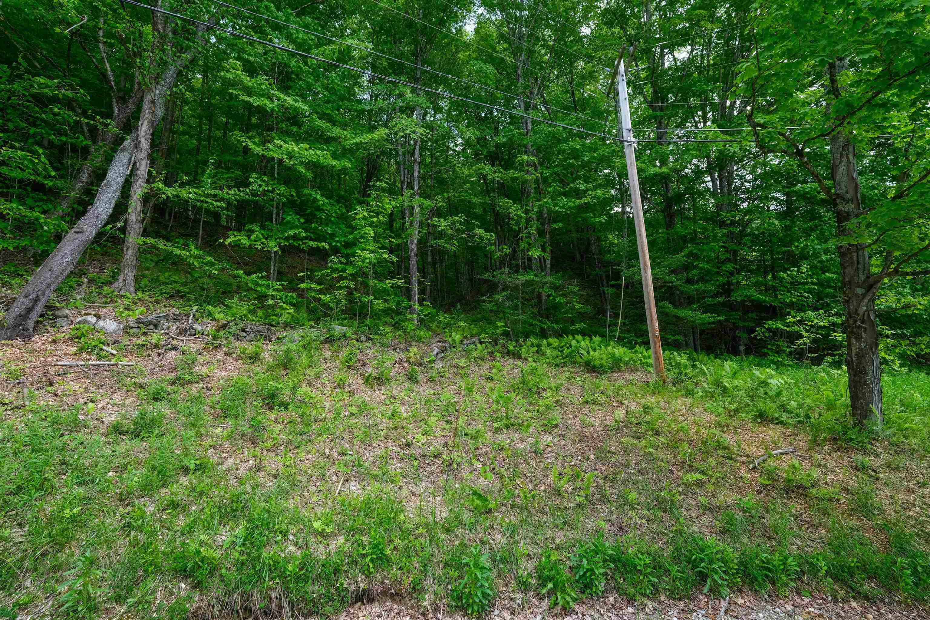 0 East Ash Road Plymouth, VT 05056 - Photo 7 of 17