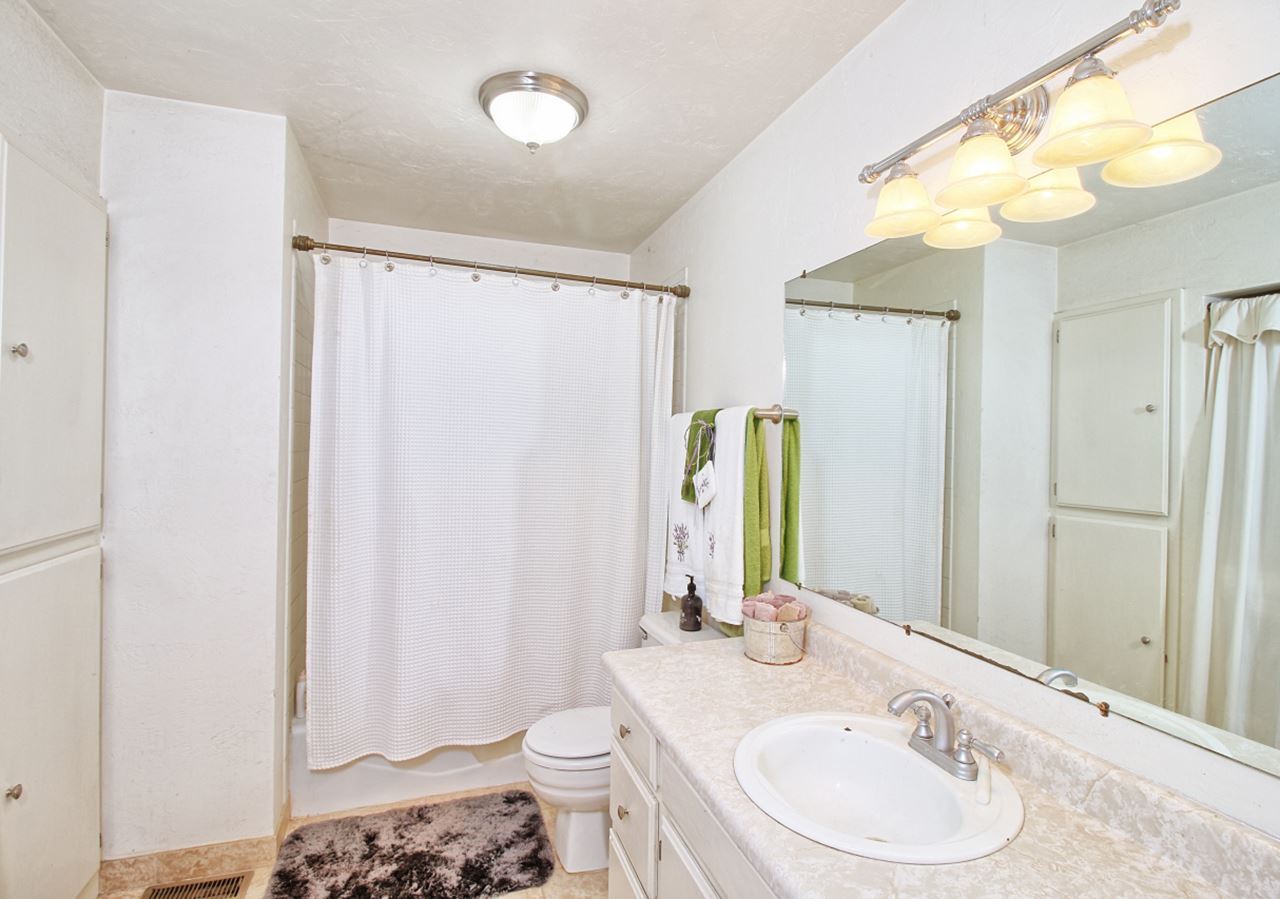1066-19 19 1/2 Road Fruita, CO 81521 - Photo 26 of 42 a bathroom with a sink a toilet and shower
