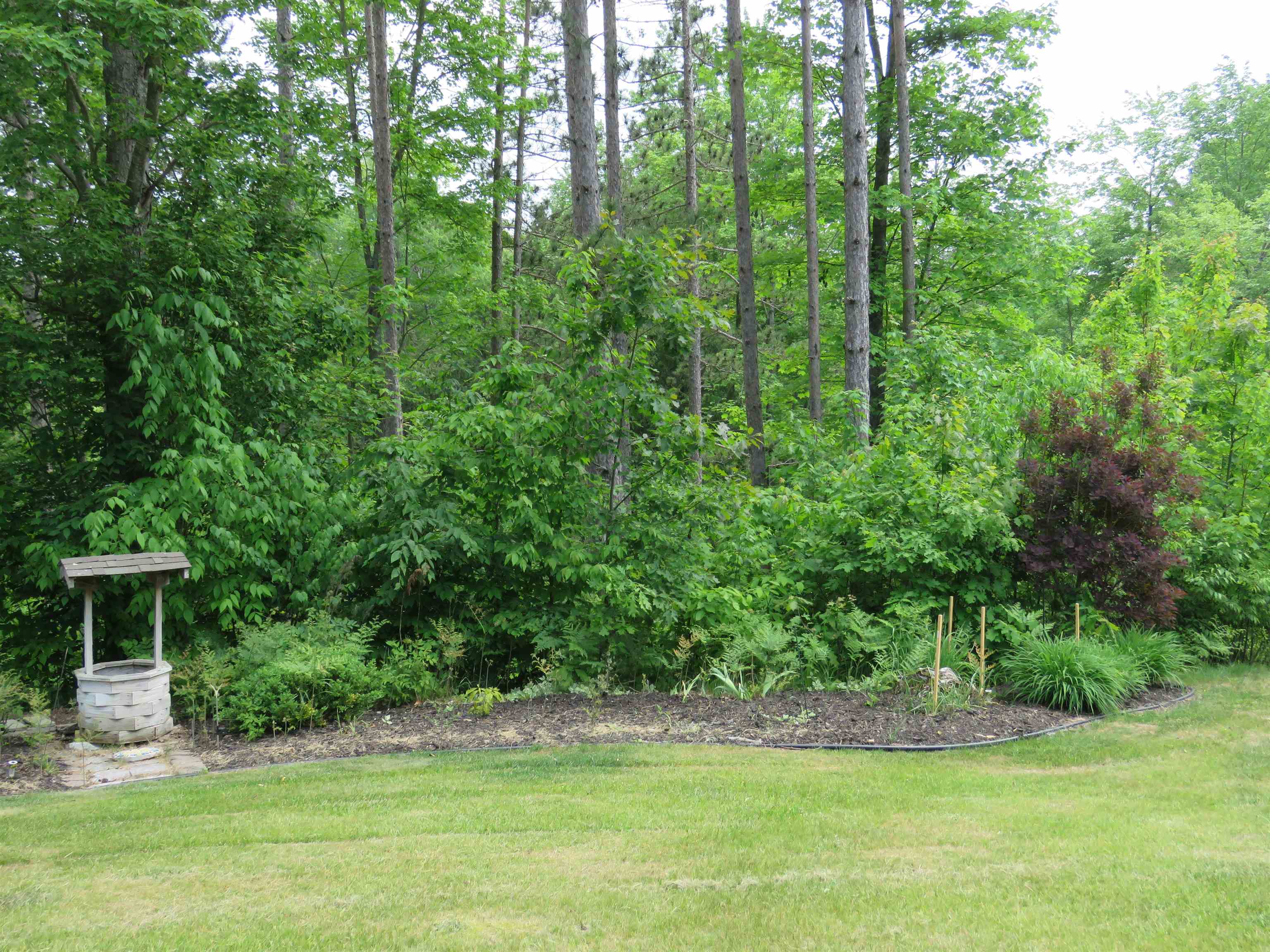 3225 North 39 Road Manton, MI 49663 - Photo 21 of 33 1935166-d7213fdc-ba51-4b1f-8f07-92f2fcc704f3.JPG