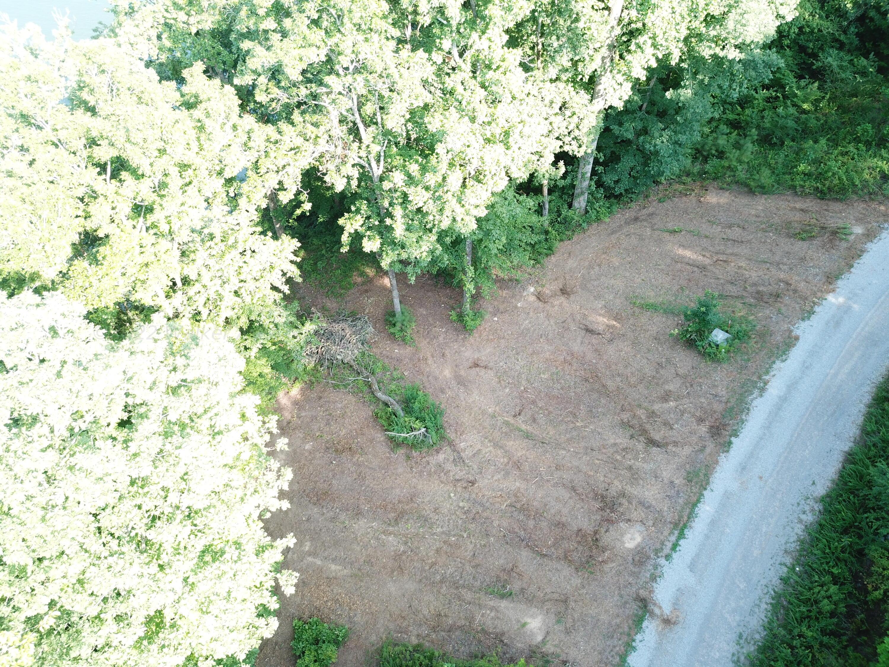Lot 38-39 The Ridge Arley, AL 35540 - Photo 5 of 40 Gallery Image 5