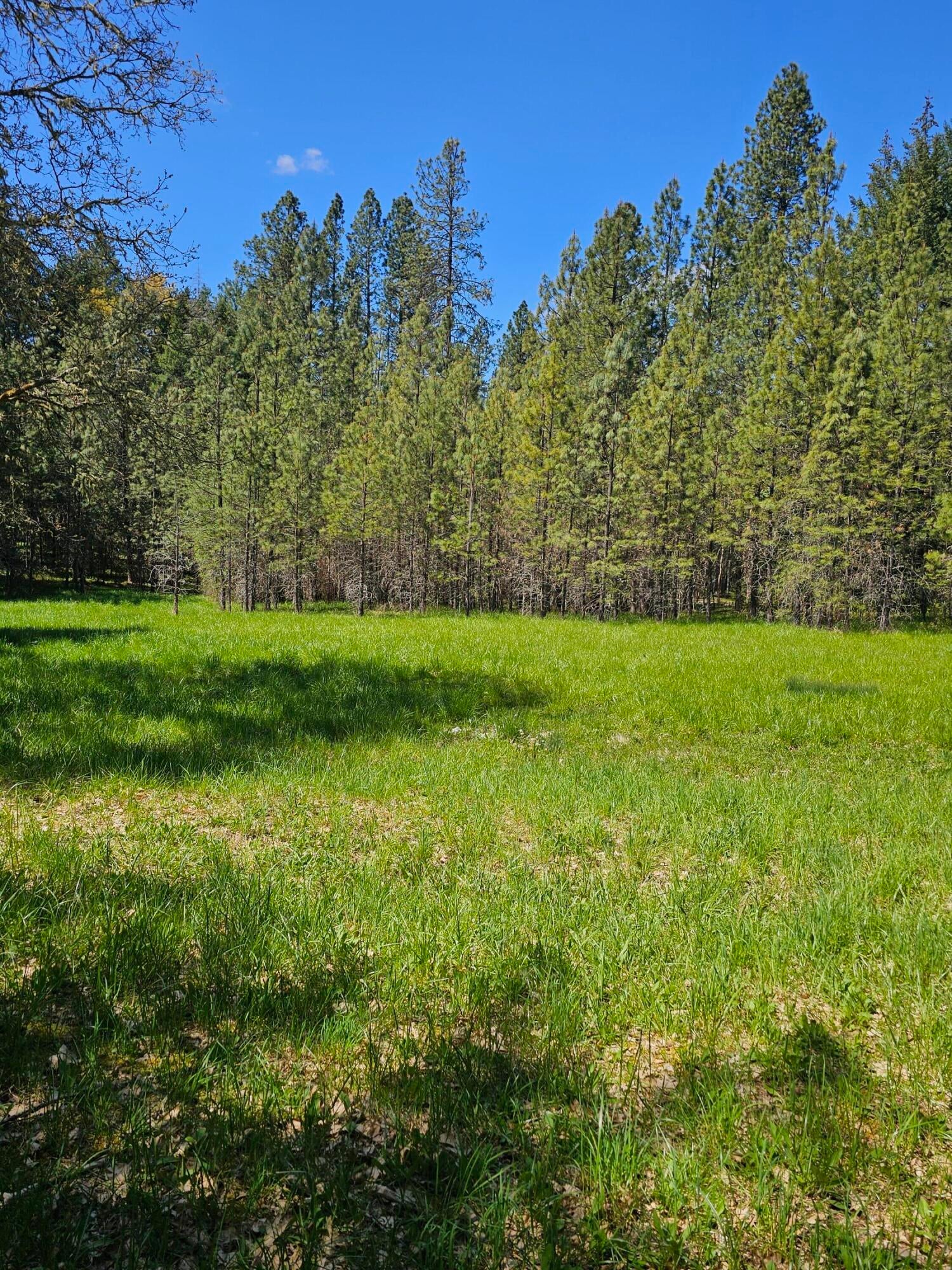 Marcy Loop Road, Unit 1001 Grants Pass, OR 97527 - Photo 2 of 22 1000007278