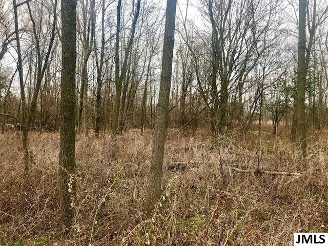5123 Freiermuth Road Stockbridge, MI 49285 - Photo 8 of 8 Photo 8