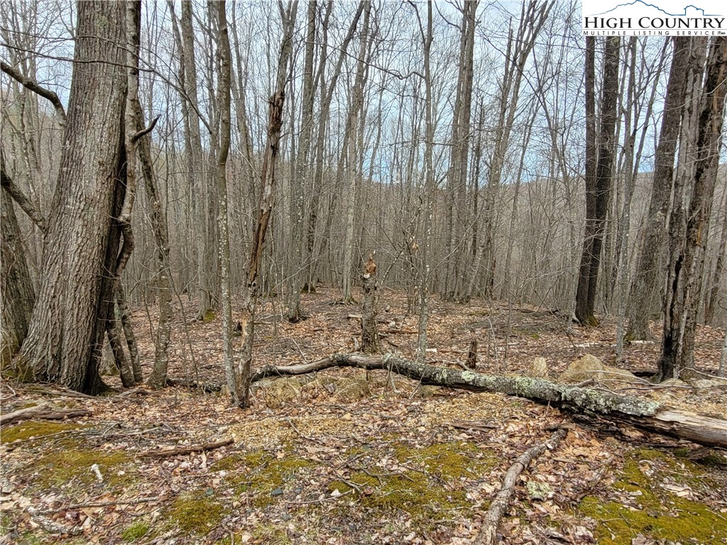 135 Arrowhead Road Beech Mountain, NC 28604 - Photo 1 of 10 Gallery Image 1