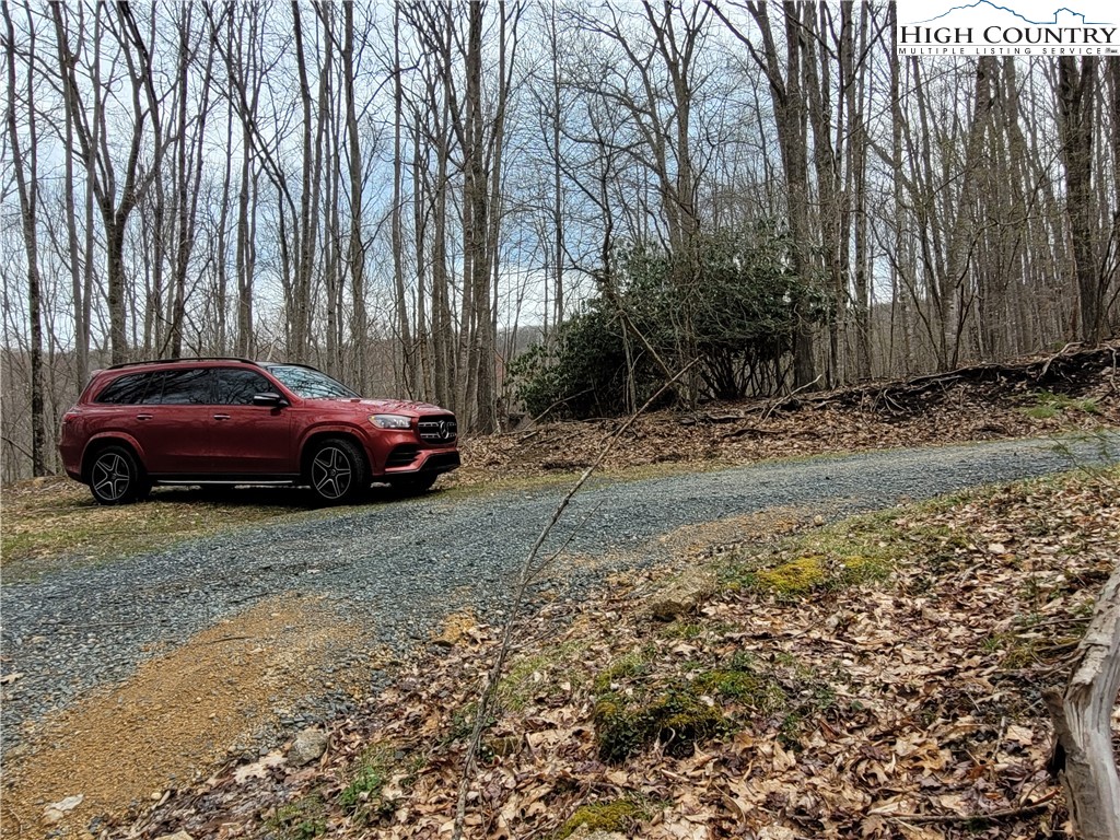 135 Arrowhead Road Beech Mountain, NC 28604 - Photo 2 of 10 Gallery Image 2
