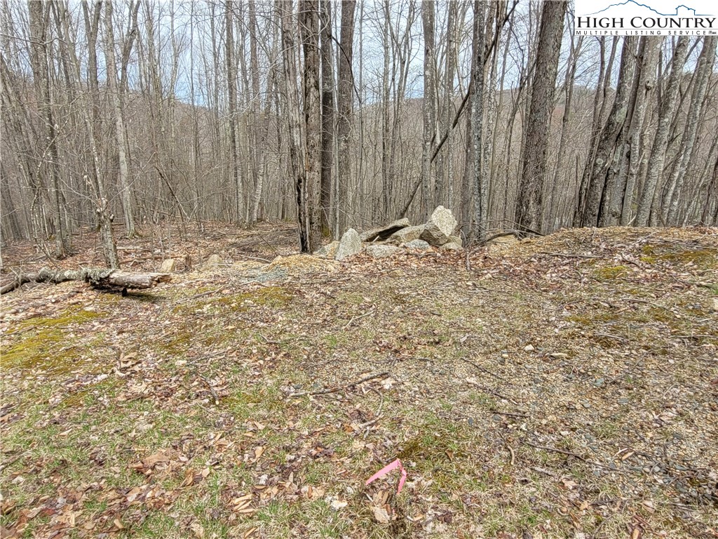 135 Arrowhead Road Beech Mountain, NC 28604 - Photo 3 of 10 Gallery Image 3