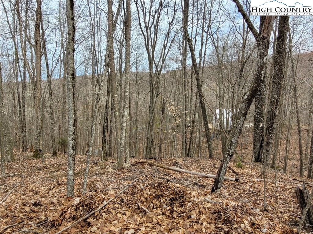 135 Arrowhead Road Beech Mountain, NC 28604 - Photo 4 of 10 Gallery Image 4