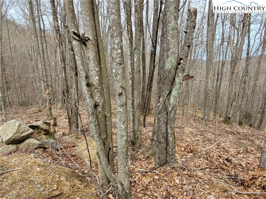 135 Arrowhead Road Beech Mountain, NC 28604 - Photo 5 of 10 Gallery Image 5