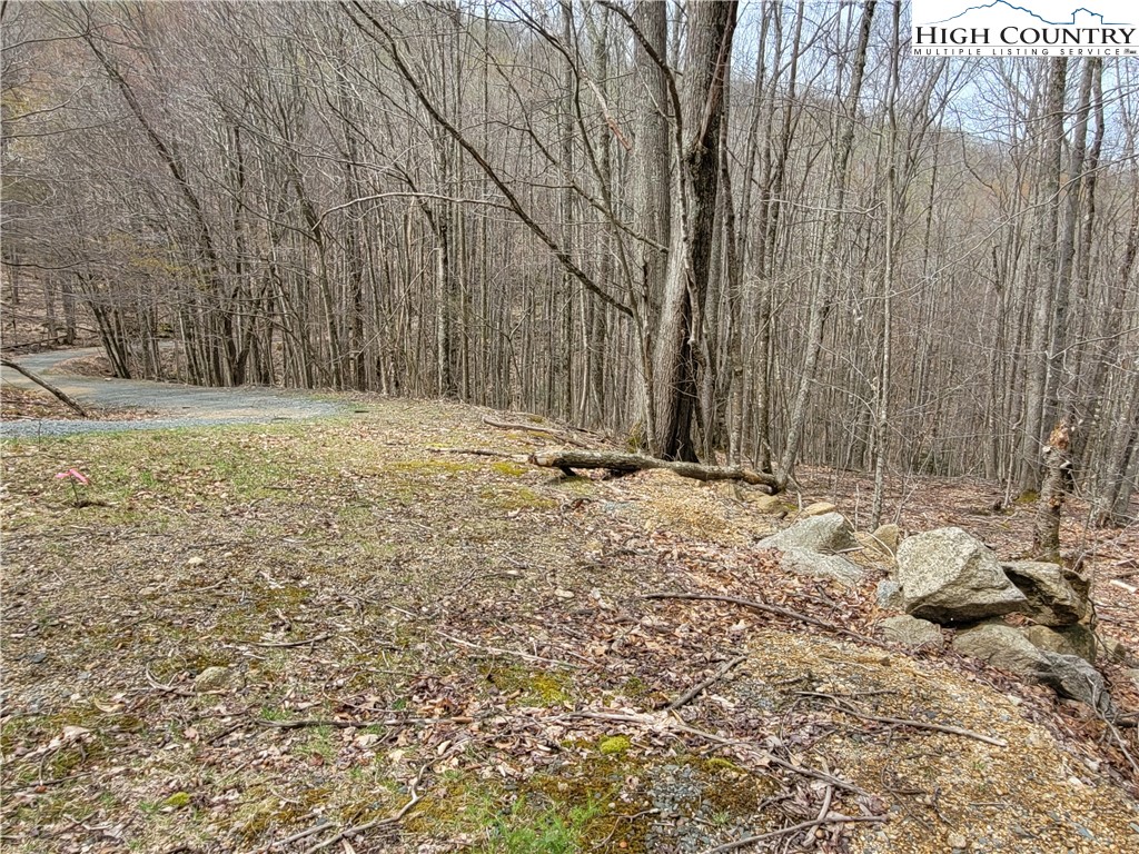 135 Arrowhead Road Beech Mountain, NC 28604 - Photo 6 of 10 Gallery Image 6