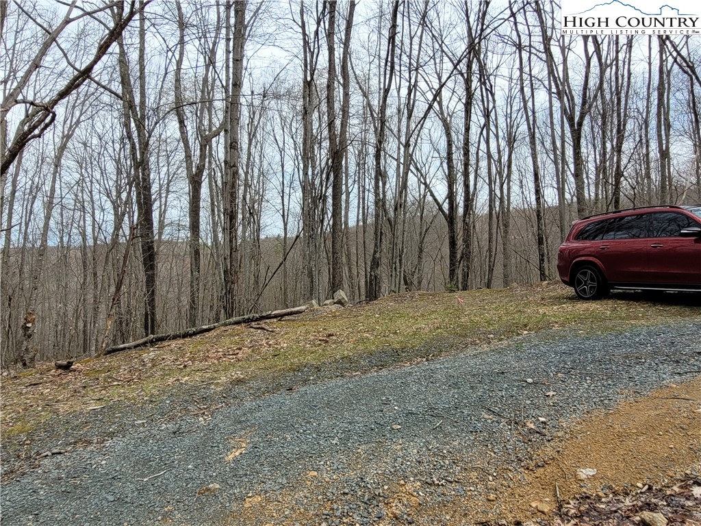 135 Arrowhead Road Beech Mountain, NC 28604 - Photo 8 of 10 Gallery Image 8