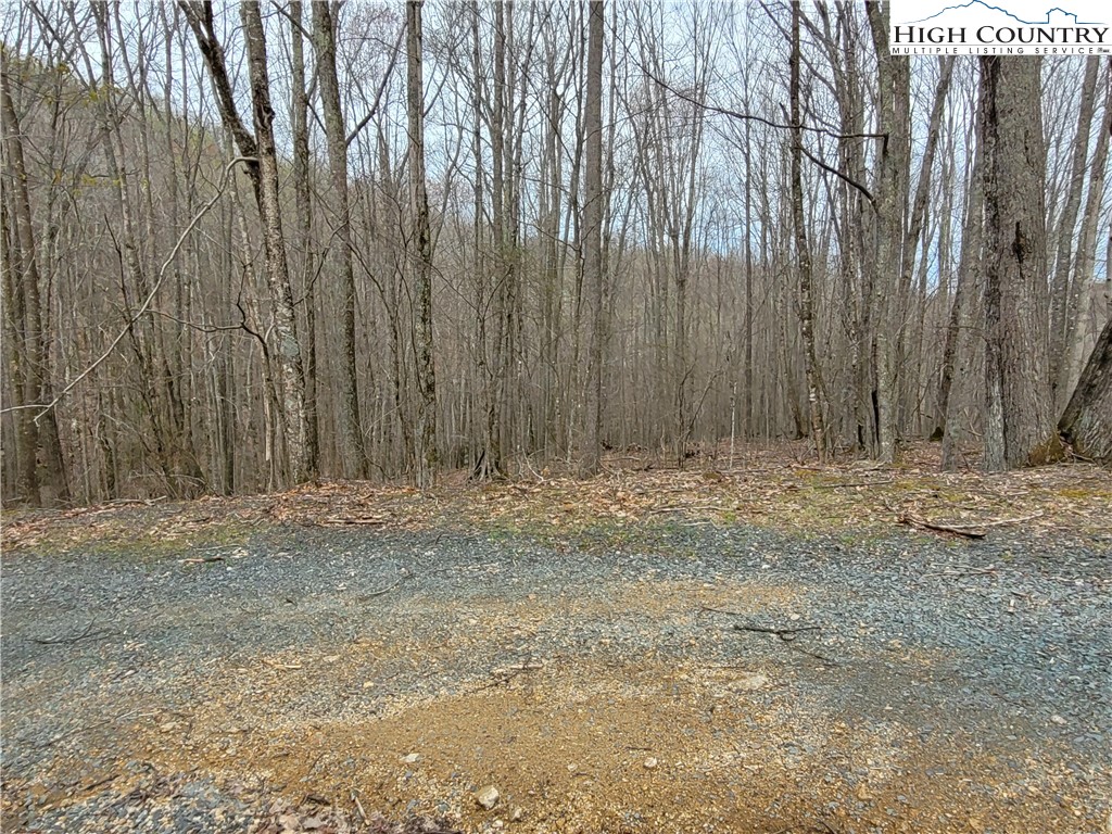 135 Arrowhead Road Beech Mountain, NC 28604 - Photo 9 of 10 Gallery Image 9