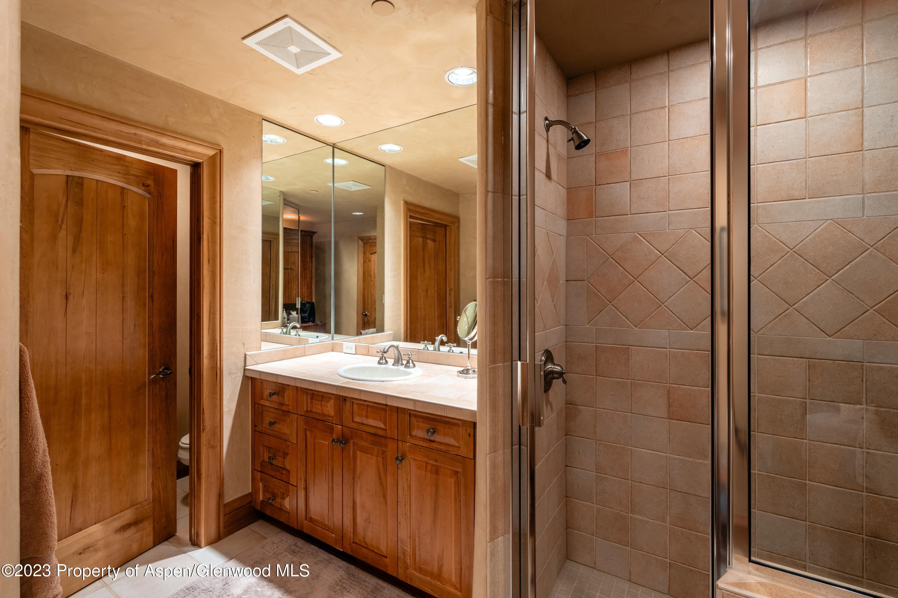507 Streamside Court Snowmass Village, CO 81615 - Photo 24 of 30 Photo21