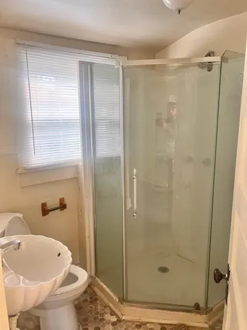 a bathroom with a shower and a toilet