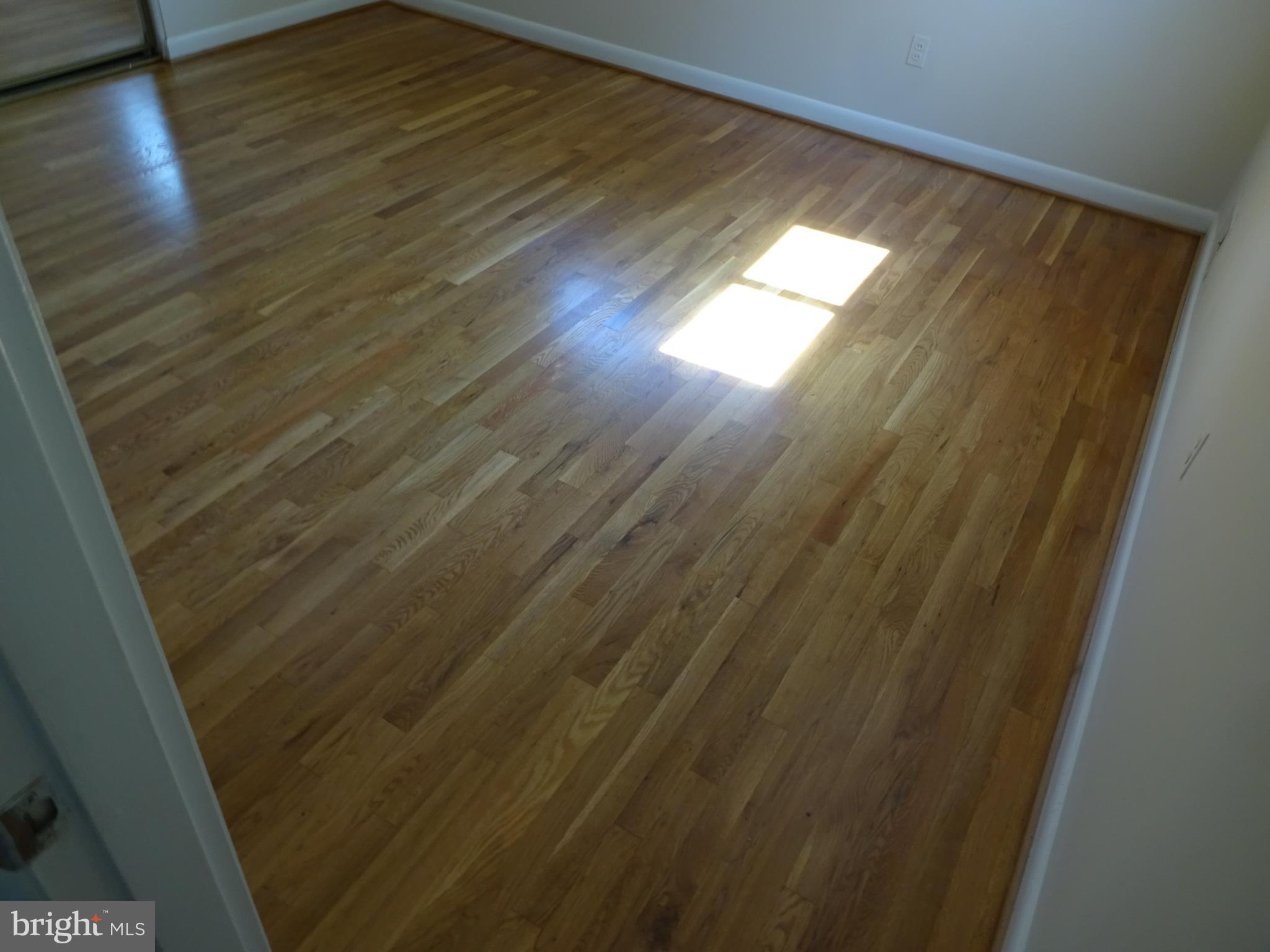 1023 Loxford Terrace Silver Spring, MD 20901 - Photo 14 of 19 Bedroom (Master)