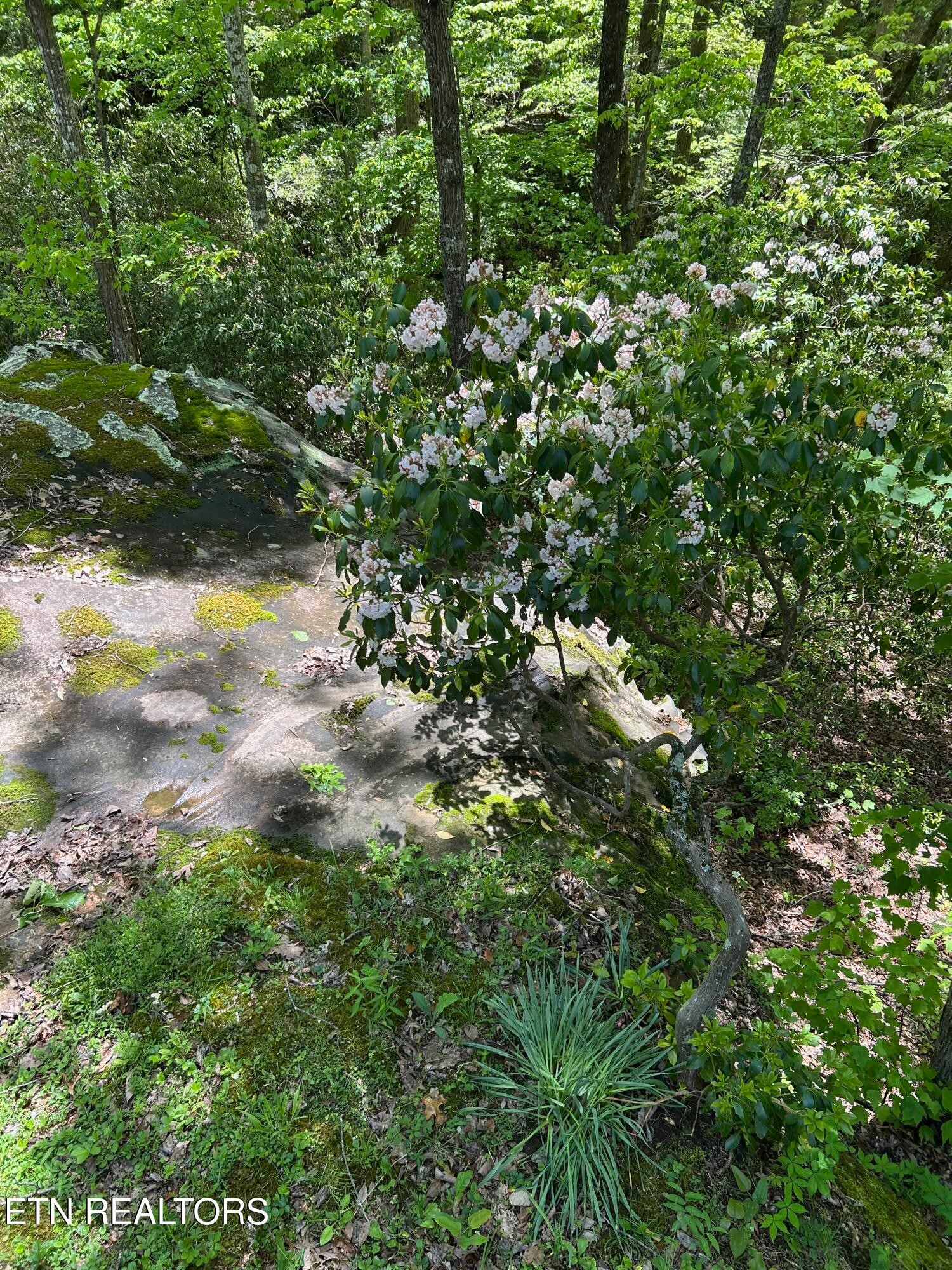 331 East Cove Road Monterey, TN 38574 - Photo 50 of 55 Gallery Image 50